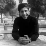 Ali