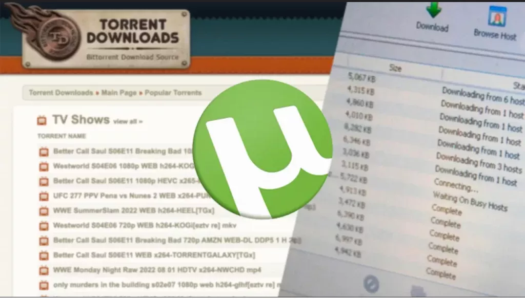 شبکه تورنت (Torrent) چیست