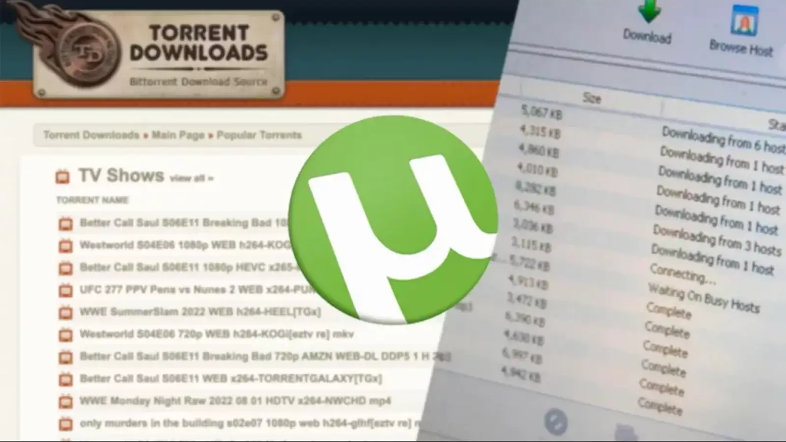 شبکه تورنت چیست؟ همه چیز درباره شبکه بیت تورنت و نحوه کار آن