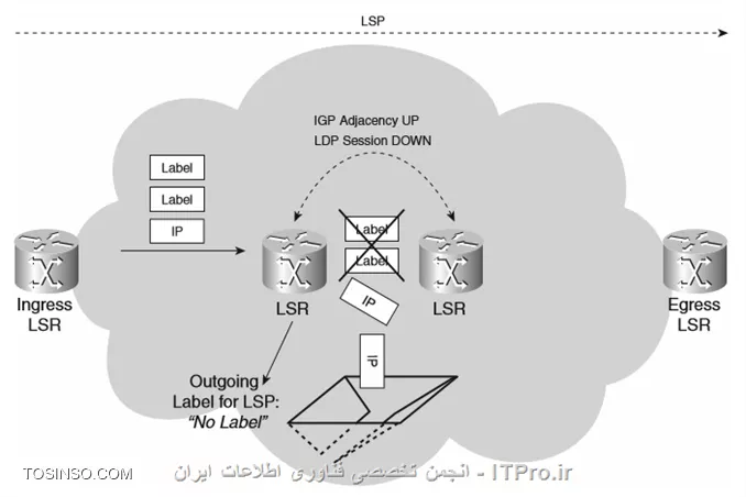 وب سایت توسینسو