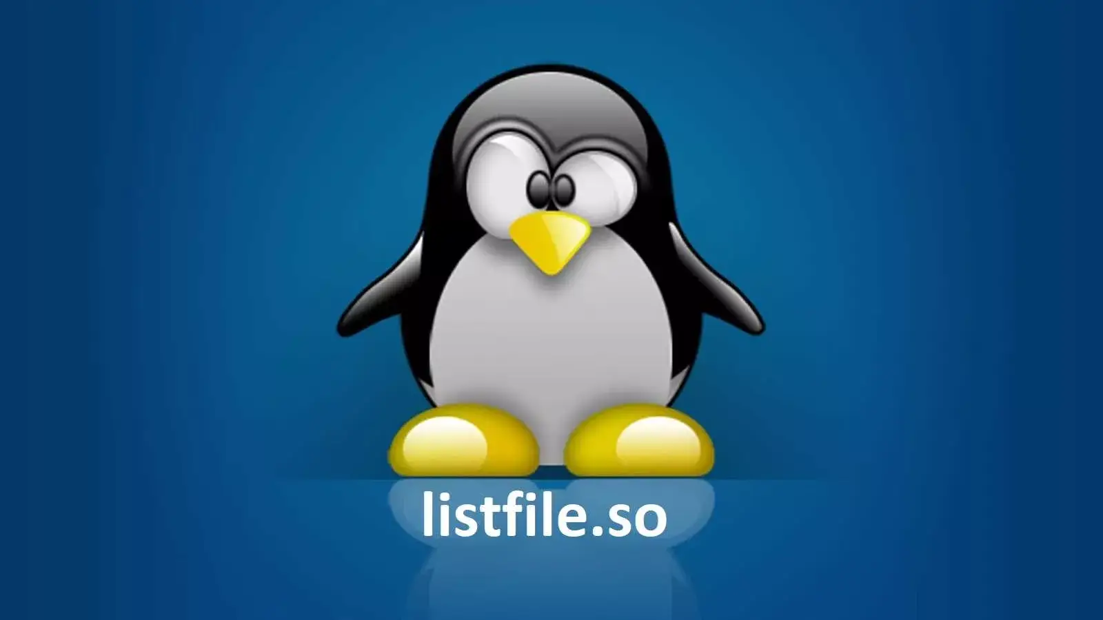 pam listfile.so چیست ؟ بررسی کاربرد فایل listfile در PAM