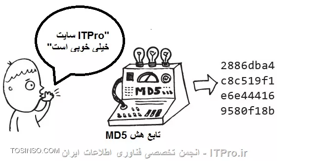 وب سایت توسینسو