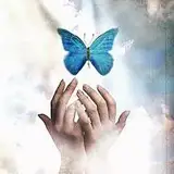میمـ . سینـ نَبـــی یــان