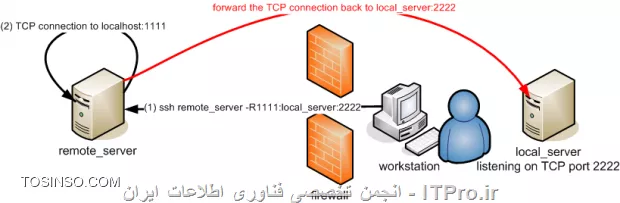 وب سایت توسینسو