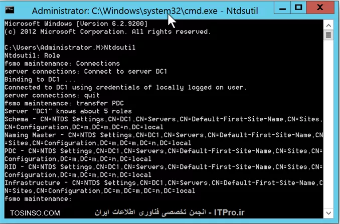 وب سایت توسینسو