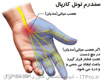وب سایت توسینسو