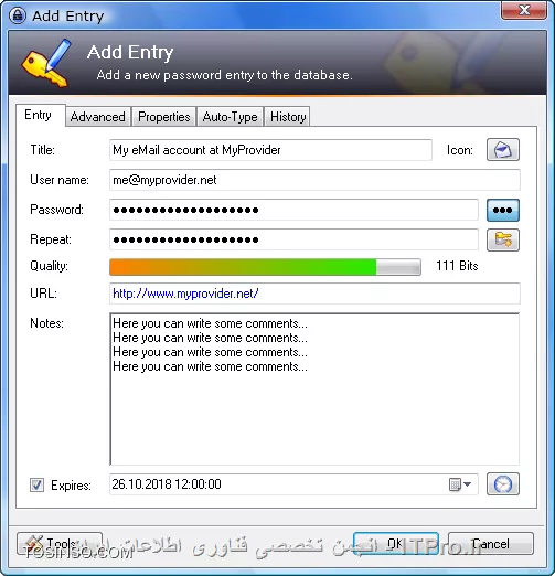 وب سایت توسینسو