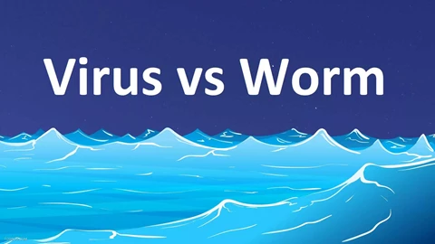 Worm چیست؟ بررسی تفاوت ویروس و ورم (Worm) در بدافزارها