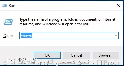 وب سایت توسینسو