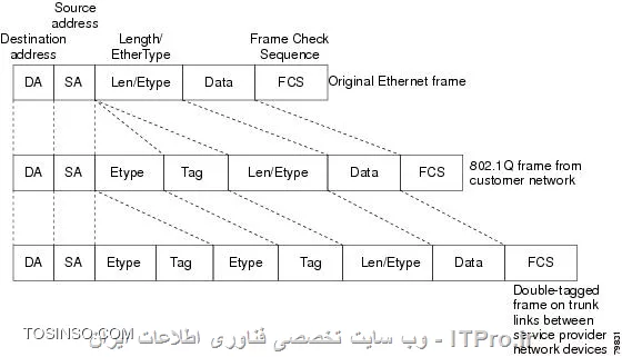 وب سایت توسینسو