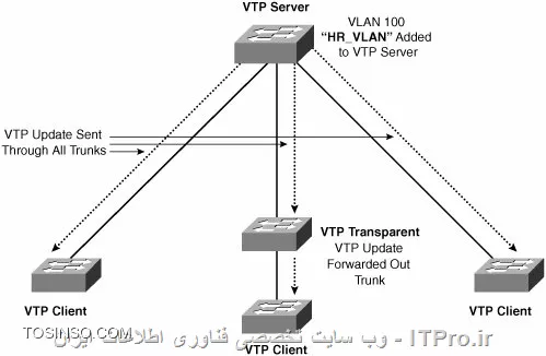 وب سایت توسینسو