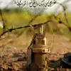 کاربر توسینسو
