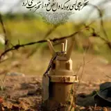 کاربر توسینسو