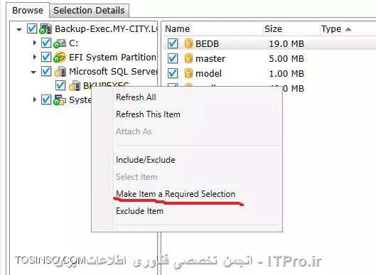 به هرحال اگه قصد داشتید علاوه بر متد های بالا شما Exclude کنید مراحل زیر را دنیال کنید:
||http://network.tosinso.com/files/get/0cd1c290-9f31-44ef-9dc5-3891d9235587||
الان باید ایتم مورد نظر بصورت Required ست شود
||http://network.tosinso.com/files/get/b9a1a321-b4c3-491d-9b3d-92de66084f3a||
||http://network.tosinso.com/files/get/85073937-0992-4da1-adf6-29ab1ee01822||
بحث Exclude بحث گسترده ایه که من بصورت اجمالی برسیش کردم.

موفق باشید. 