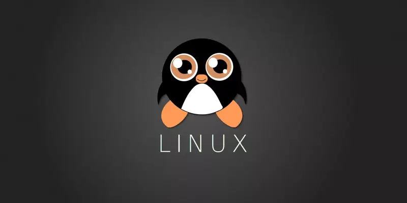 Swap File چیست و چگونه در لینوکس فایل Swap بسازیم؟