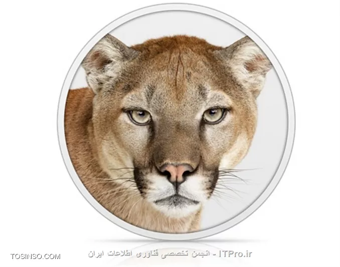 وب سایت توسینسو