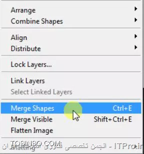 وب سایت توسینسو
