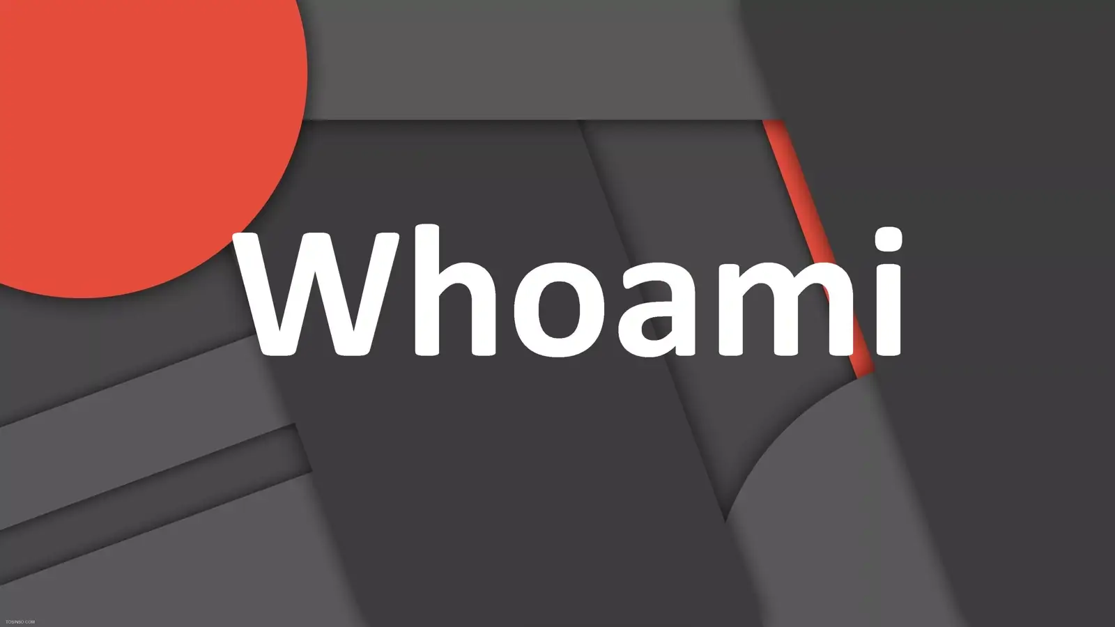 دستور Whoami چیست؟ معرفی 11 مثال کاربردی از دستور whoami