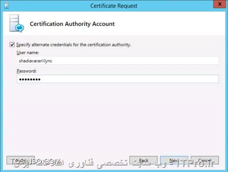 وب سایت توسینسو