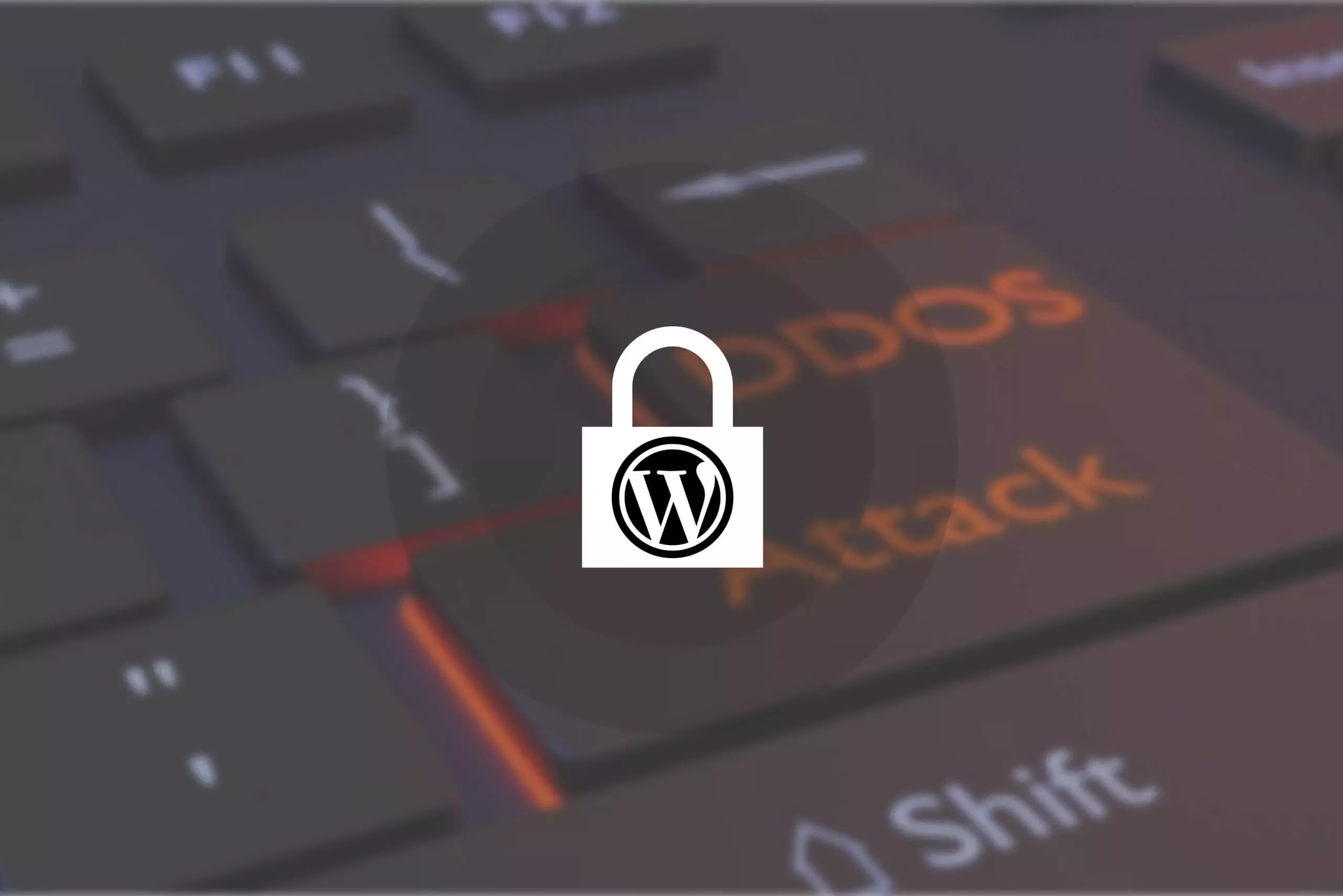 بررسی حملات  DDoS  در سایت وردپرسی