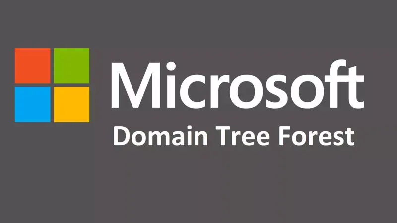 Tree چیست؟ Domain چیست؟ Forest چیست؟ به زبان خیلی خیلی ساده