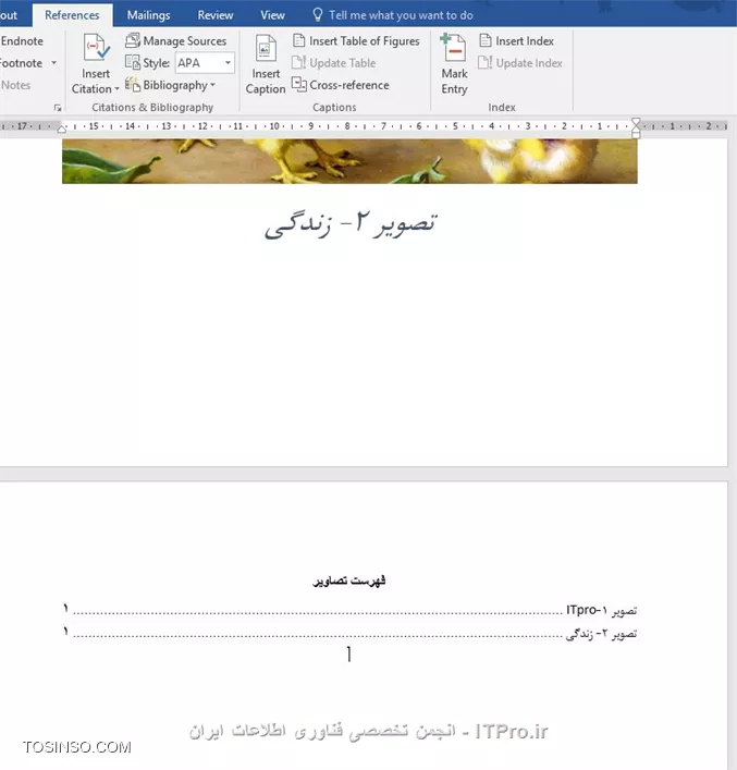 وب سایت توسینسو