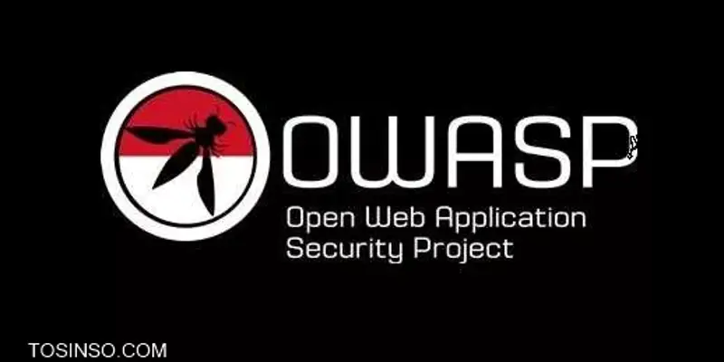 OWASP چیست؟ معرفی 9 پروژه OWASP به زبان بسیار ساده