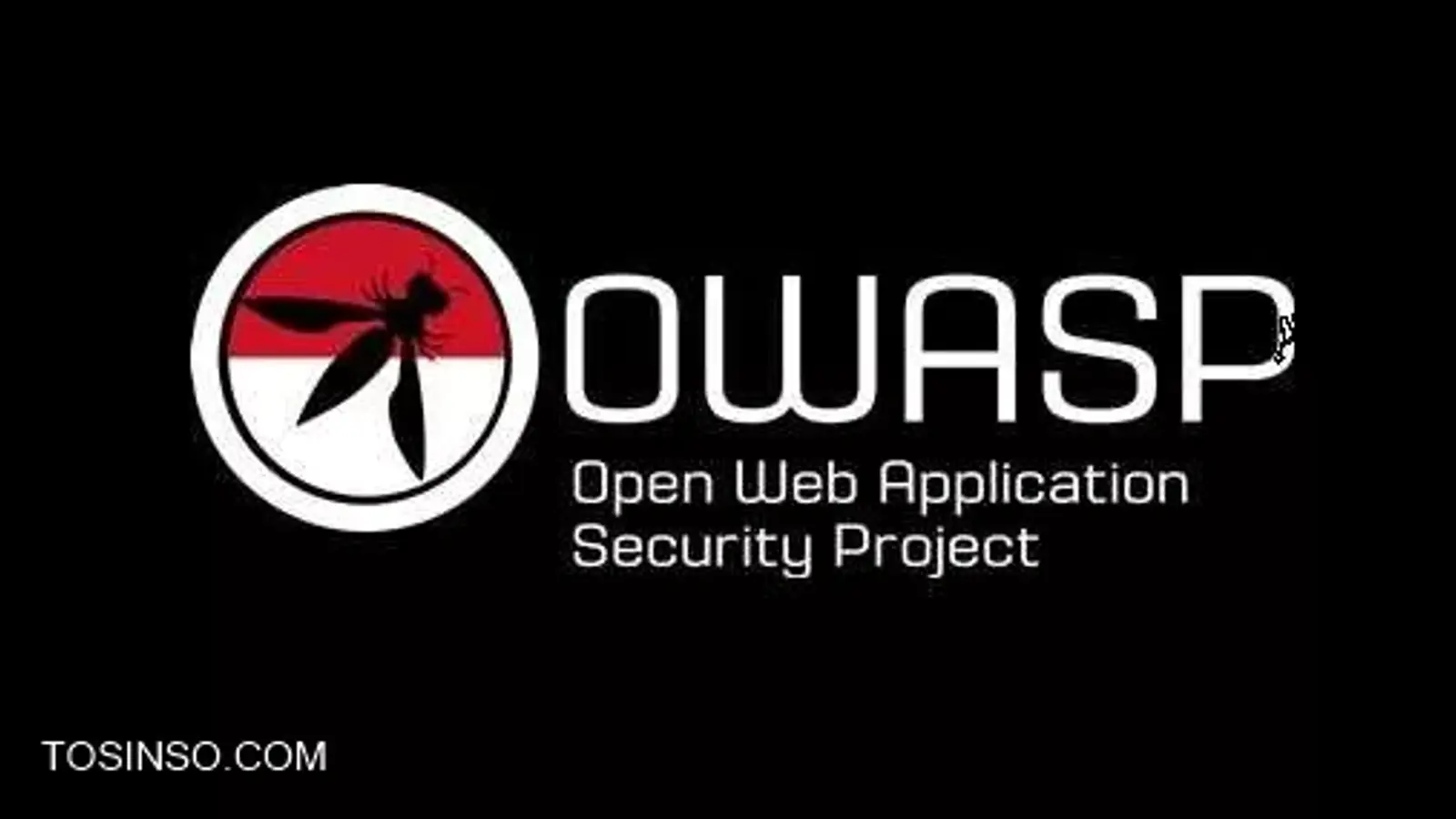 OWASP چیست؟ معرفی 9 پروژه OWASP به زبان بسیار ساده