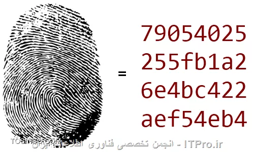 وب سایت توسینسو