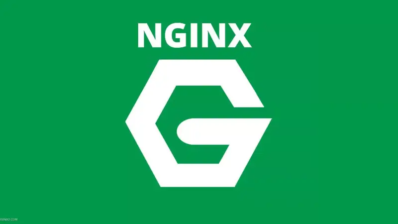 NGINX چیست؟ آموزش نصب NGINX در اوبونتو