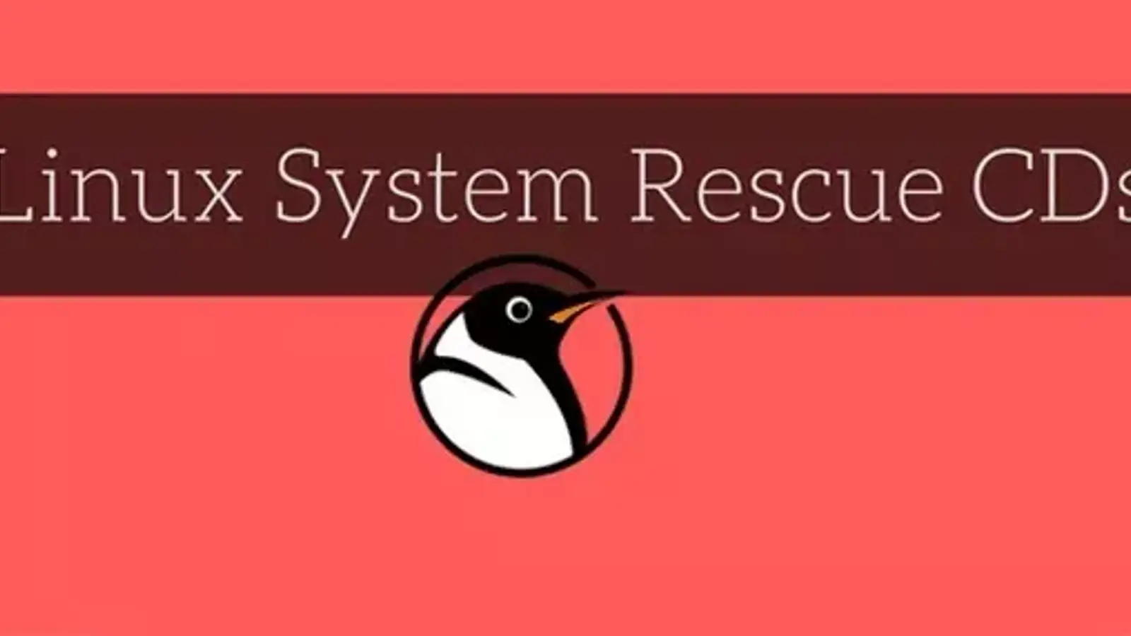 آموزش تعمیر GRUB با دیسک نجات لینوکس (Linux Rescue Environment)