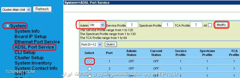 وب سایت توسینسو