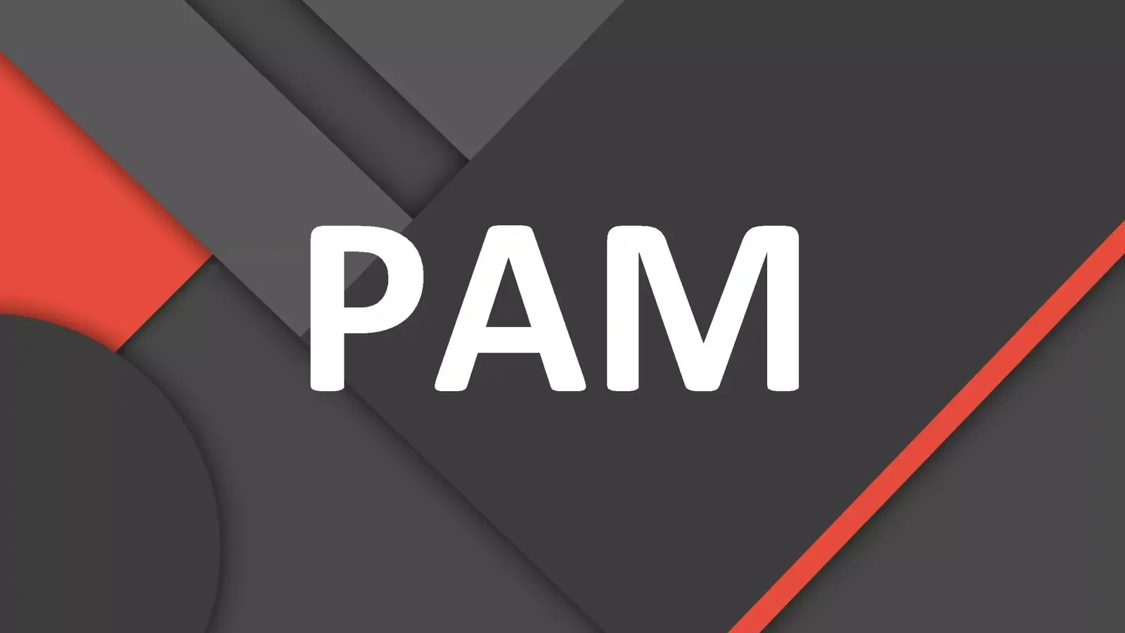 PAM چیست؟ آشنایی با Privileged Access Manager به زبان ساده