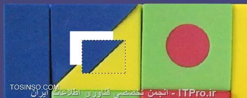 وب سایت توسینسو