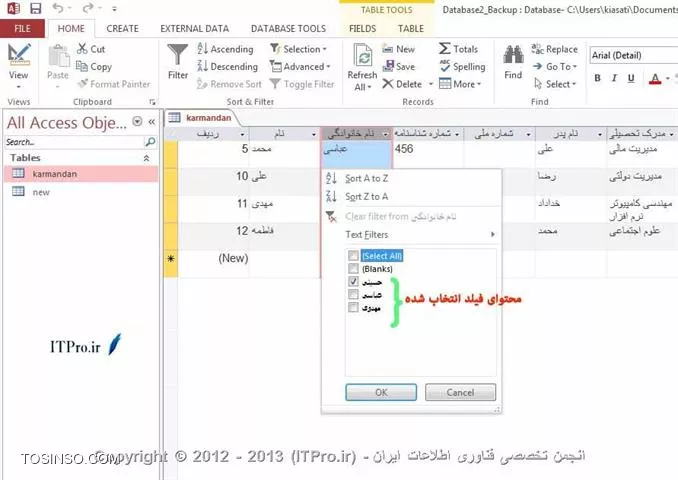 وب سایت توسینسو