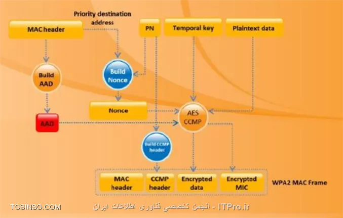 وب سایت توسینسو