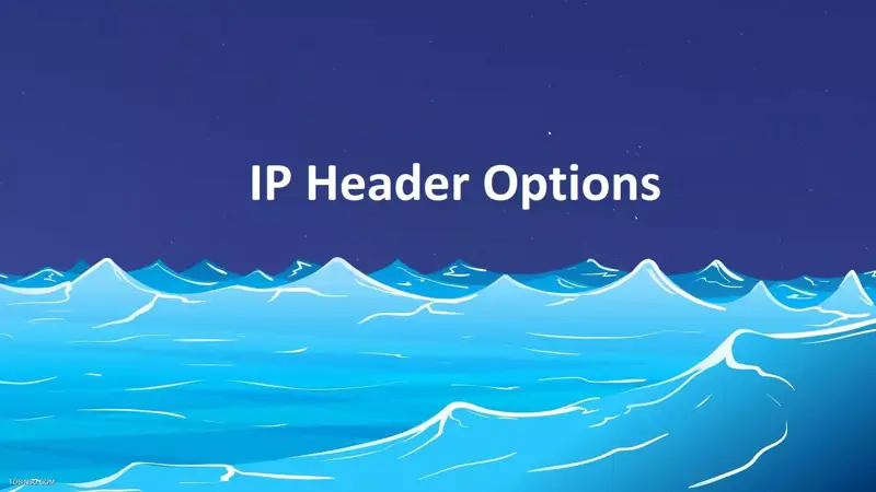 معرفی Option های مختلف در Header بسته IP : آپشن های هدر IP