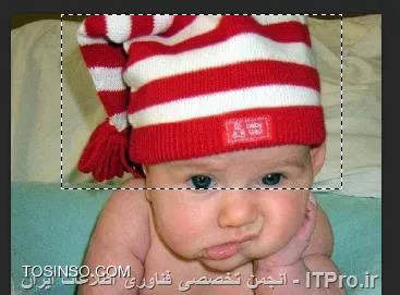 وب سایت توسینسو