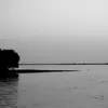 بهزاد رحمانی