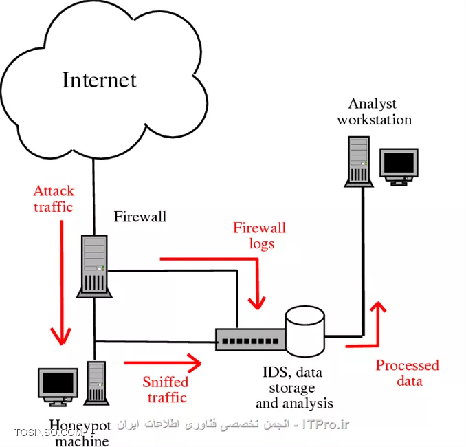وب سایت توسینسو