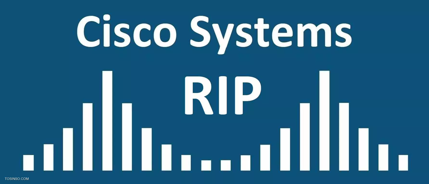 پروتکل RIP چیست و چگونه در روتر سیسکو RIP را پیاده سازی کنیم؟