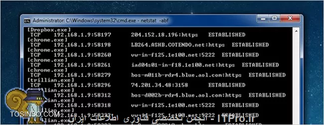 وب سایت توسینسو