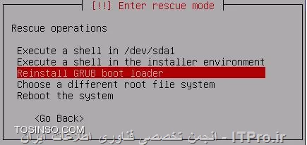 تصویر ششم انتخاب گزینه Reinstall GRUB boot loader در محیط Rescue Mode  لینوکس