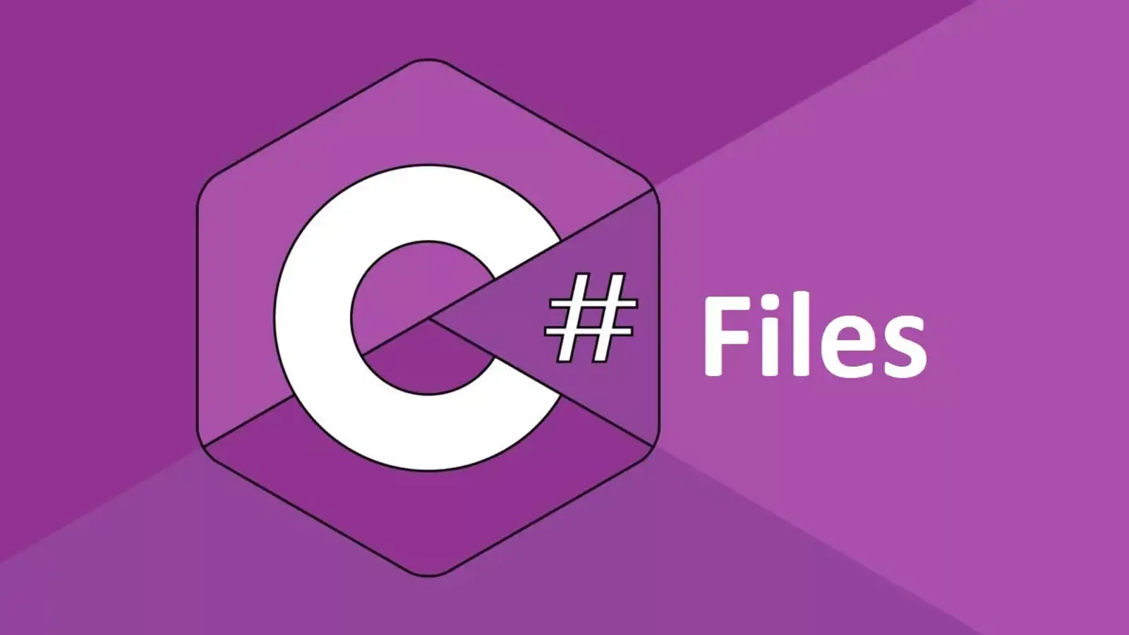 آموزش کار با فایل ها و کلاس File در سی شارپ