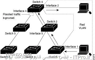 وب سایت توسینسو