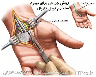 وب سایت توسینسو