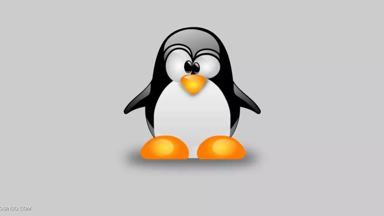 کاملترین آموزش مدیریت فایل در لینوکس | Linux File Management 