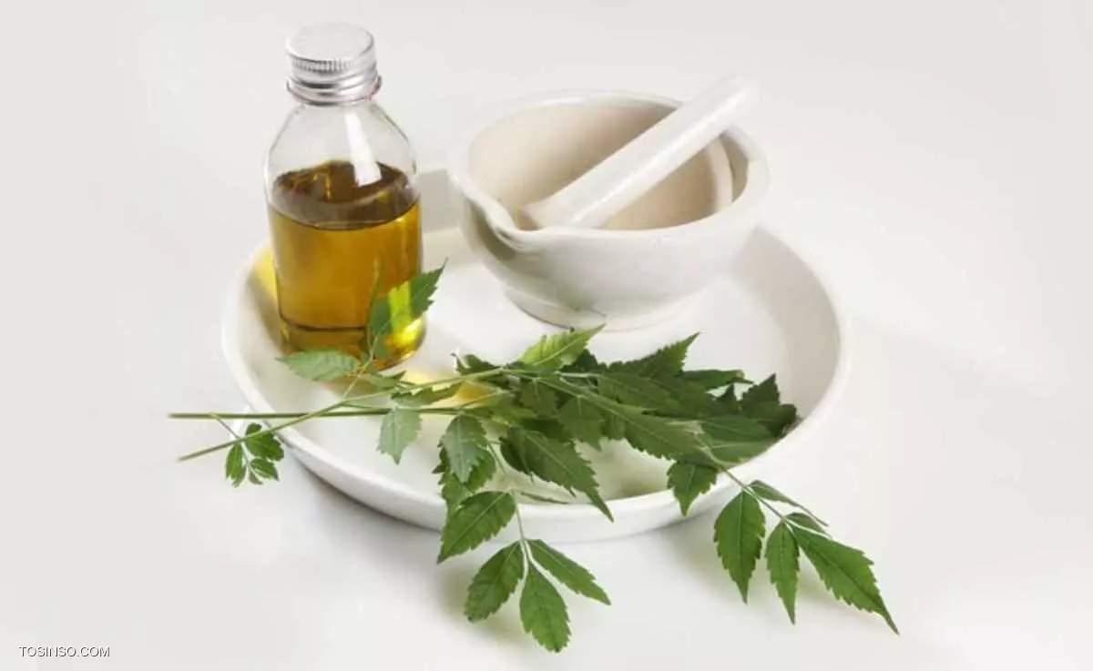 نیش پشه : جلوگیری از نیش پشه : پیشگیری از نیش پشه