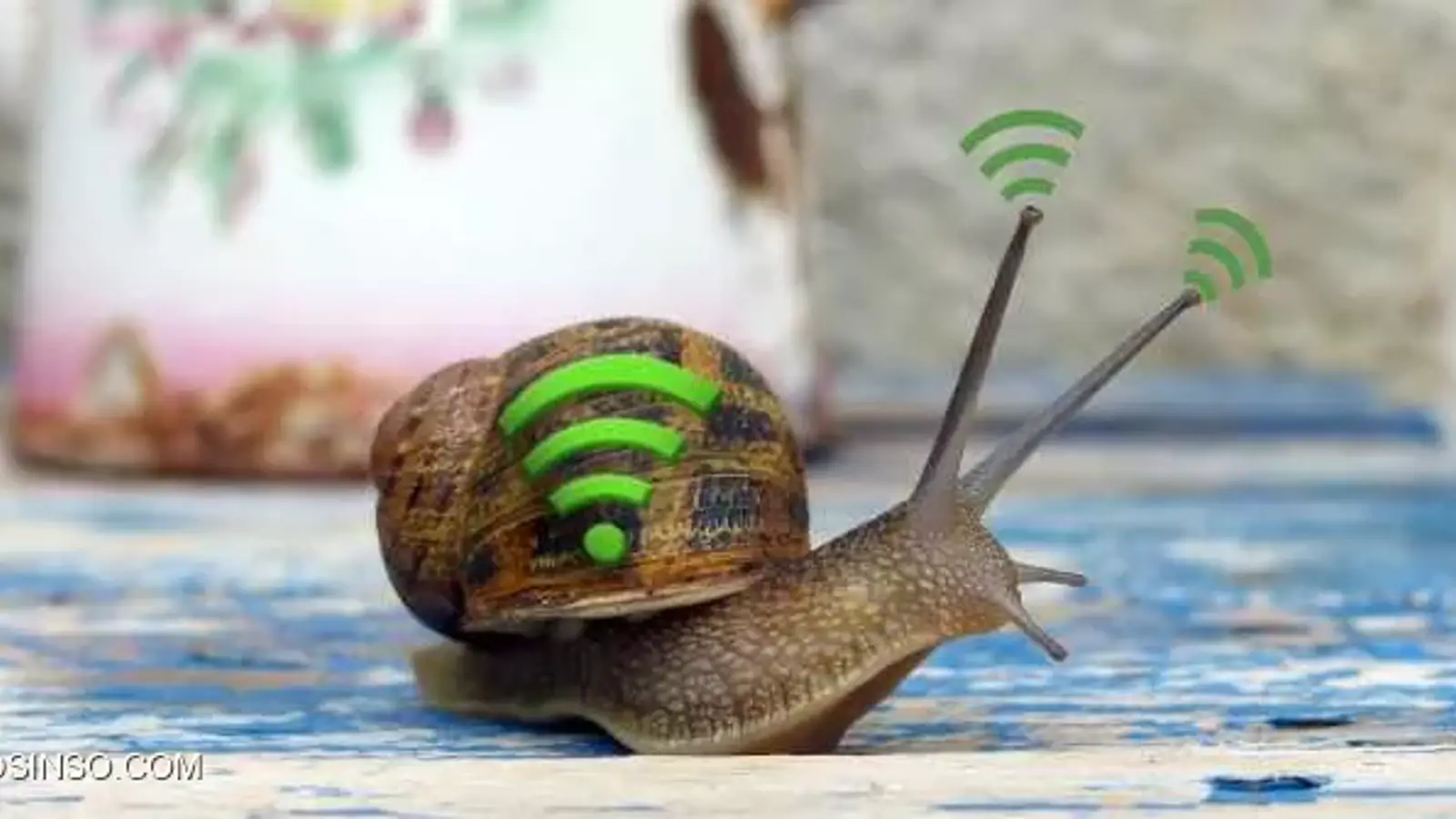 4 دلیل کند بودن شبکه وایرلس (بیسیم) و نحوه رفع اشکال آن