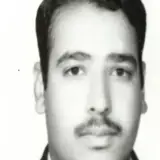 حسین زارعی